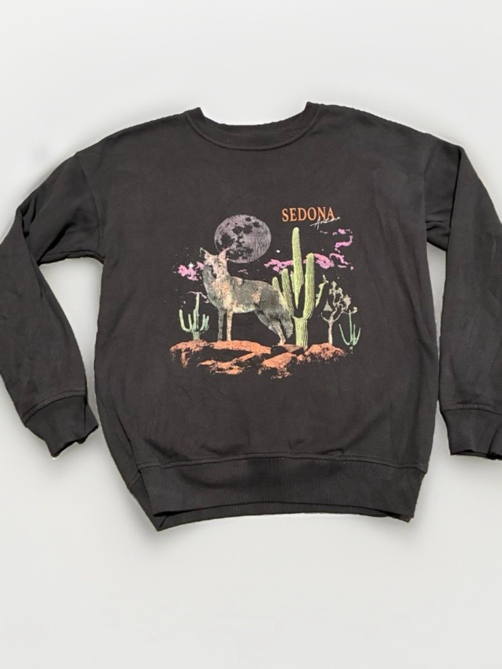 abercrombie kids charcoal gray Sedona Cactus Graphic Sweatshirt